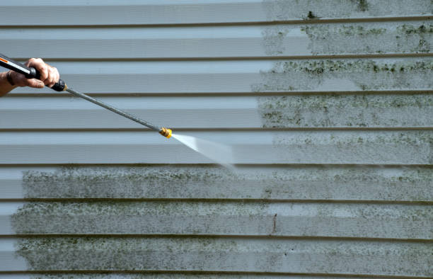 Best Patio and Deck Pressure Washing  in Sunray, TX